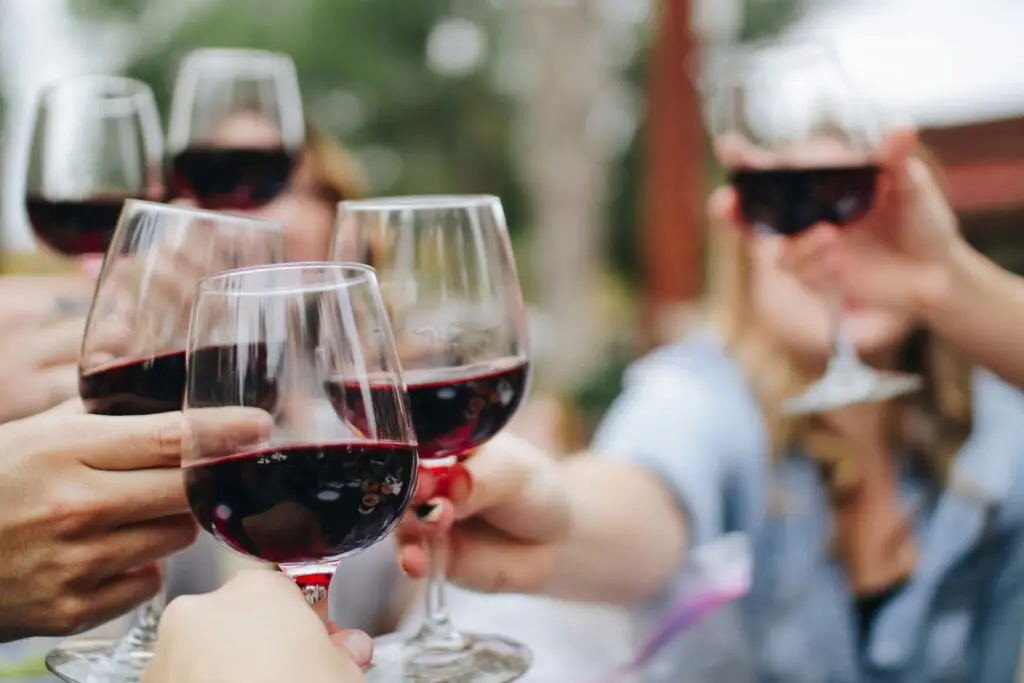 WineFest - הרמת כוסית - יין אדום